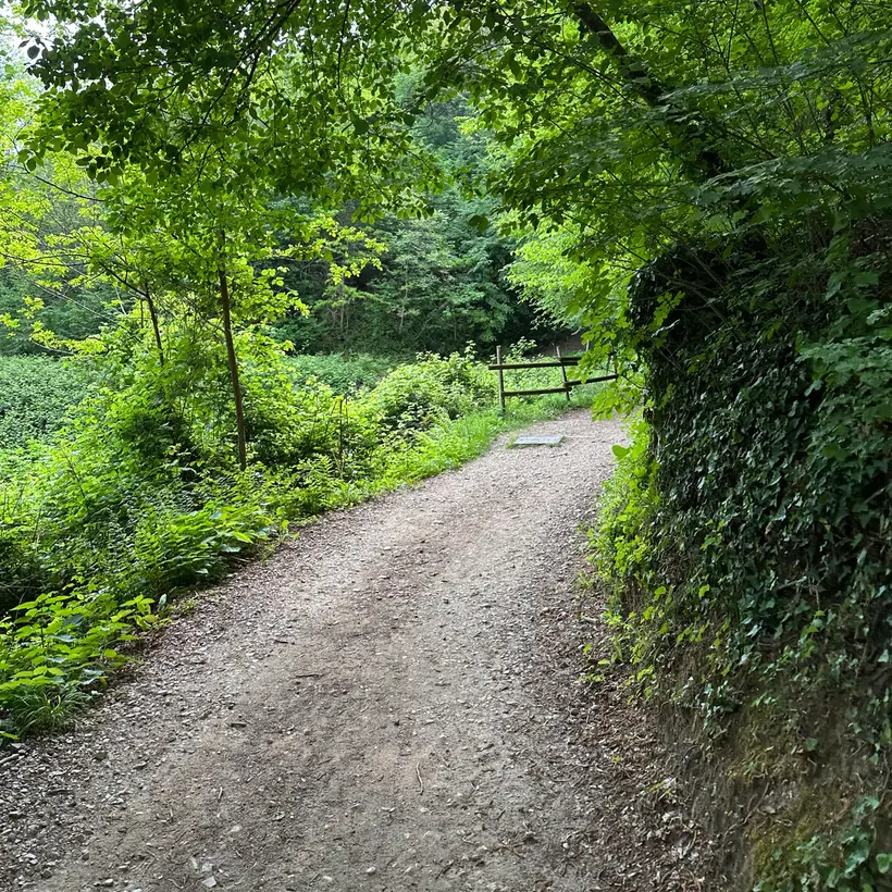 Asolo Urban Trail — il percorso tra le colline