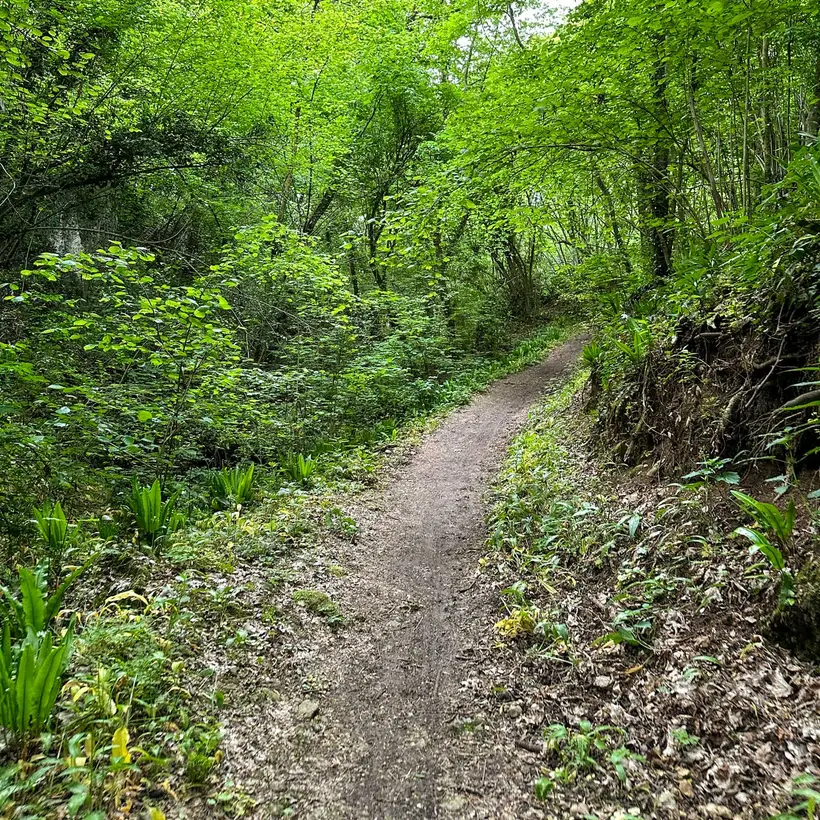Asolo Urban Trail — partecipanti in corsa