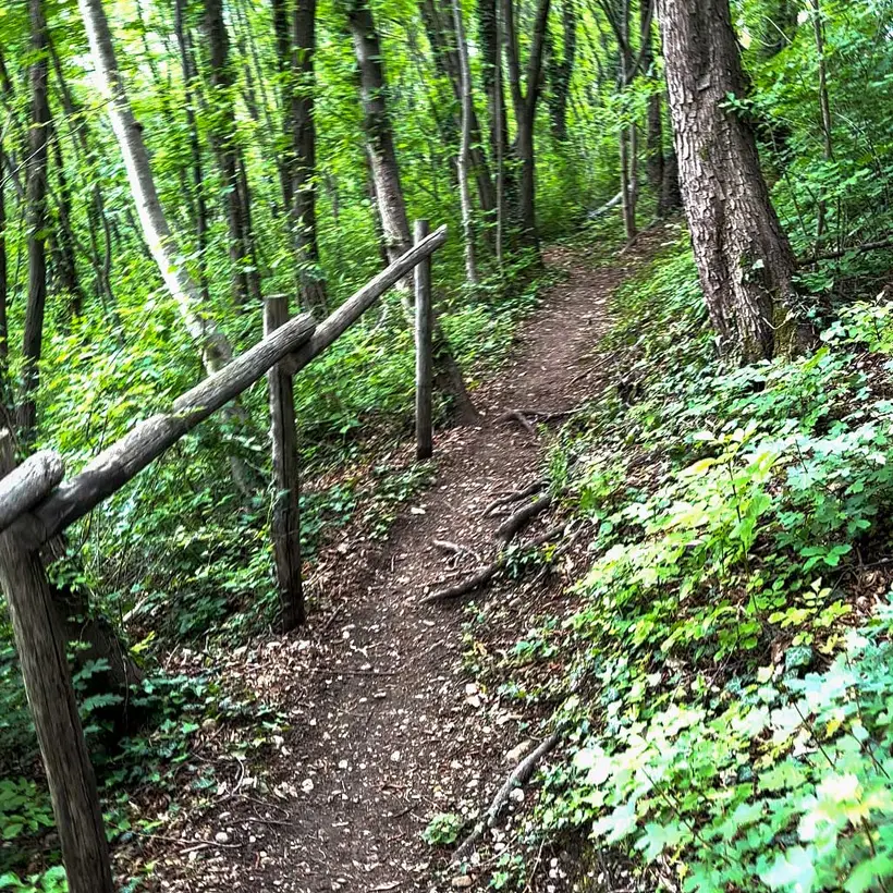 Asolo Urban Trail — panorama asolano